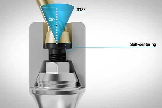 Vídeo Flat Screw de DESS