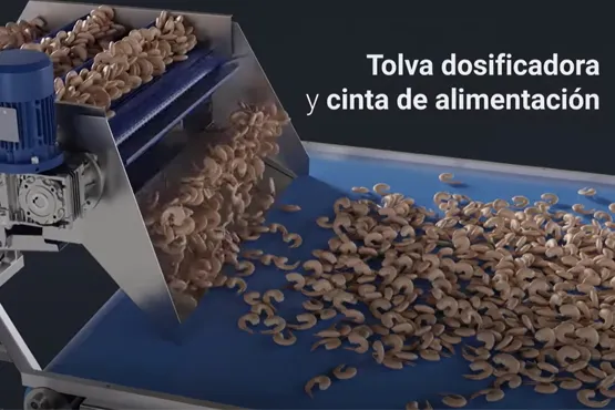 Video Palinox Cyclone