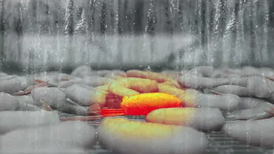 Vídeo Palinox Volcan Hybrid