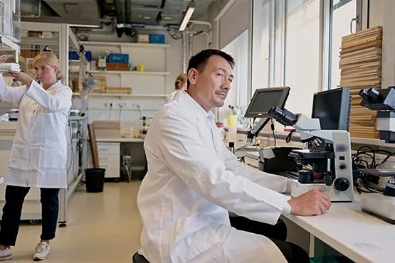resultados del vídeo corporativo Rimsa mostrando laboratorio y procesos de innovación industrial