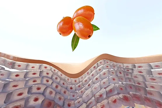 Video Vitae CGI 360