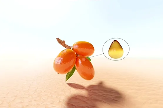 Resultado final del vídeo 360 CGI para Vitae con animación de moléculas y efecto visual inmersivo